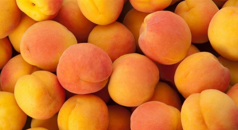 تحتوي على -سم- وبضع غرامات من بذورها قاتلة.. احذروا نواة هذه الفواكه!