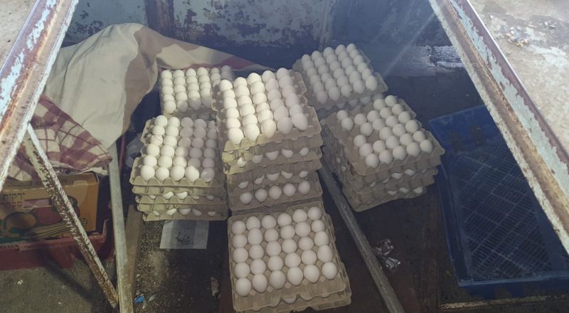 ضبط 2400 بيضة تم بيعها في سوق مدينة عكا بدون إشراف وزارة الصحة