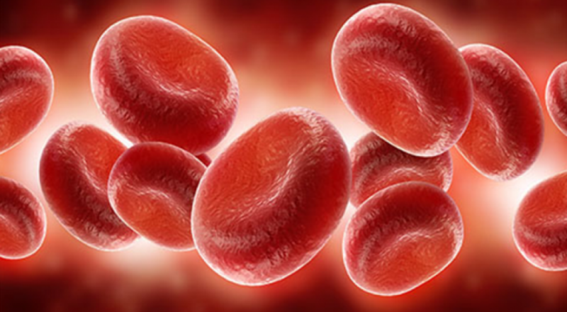 أغذية تعيق امتصاص الحديد وتصعّب علاج فقر الدم