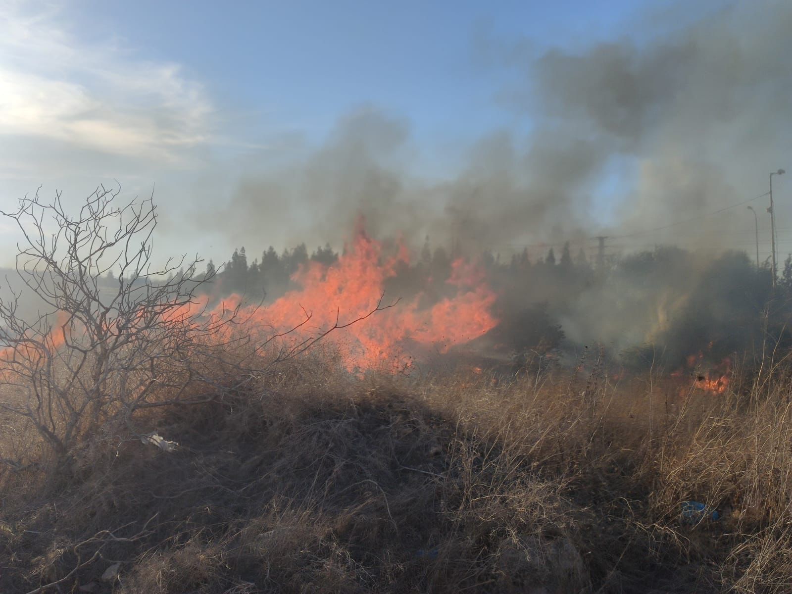 الإطفاء والإنقاذ: إصدار أمر يقضي بحظر اشعال النيران من 08.11.2021 حتى 30.11.2021