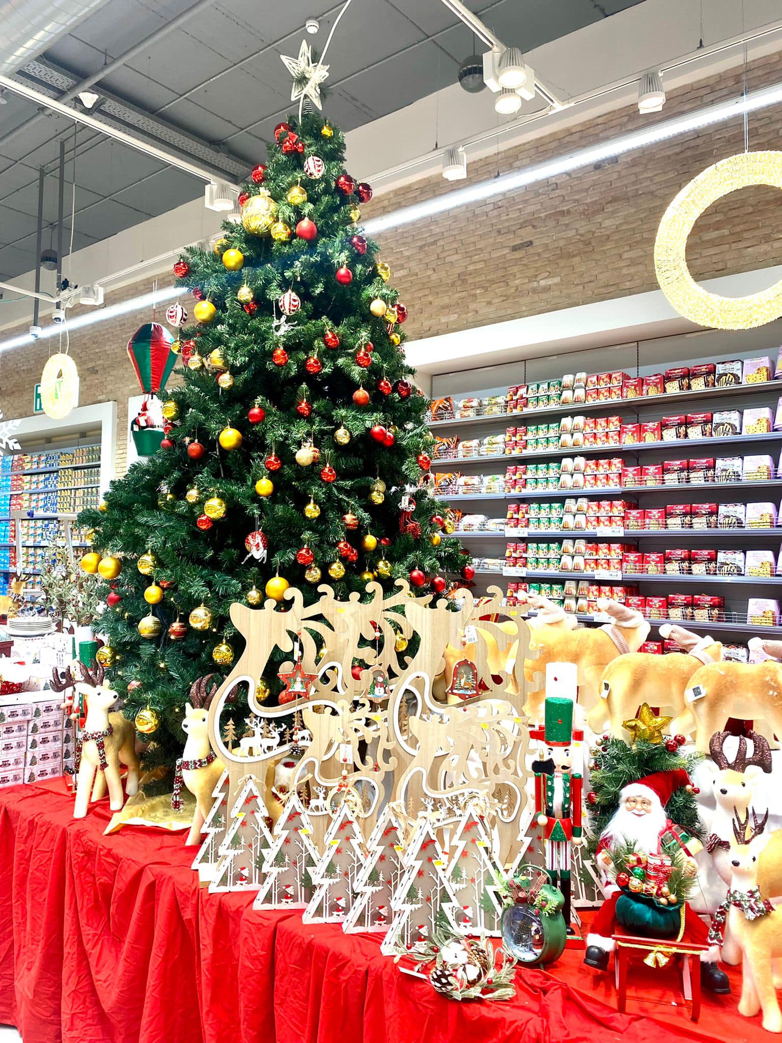 افتتاح اكبر معرض لمستلزمات الميلاد في ذباح بيج ماركت معلوت ترشيحا