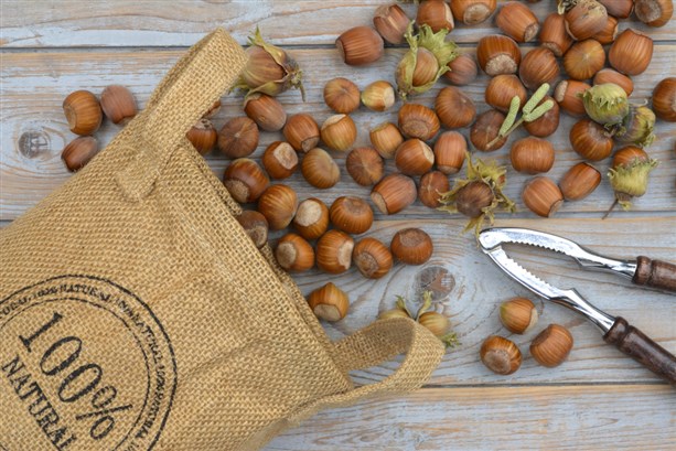 فوائد الكستناء كثيرة...وليس فقط الطعم