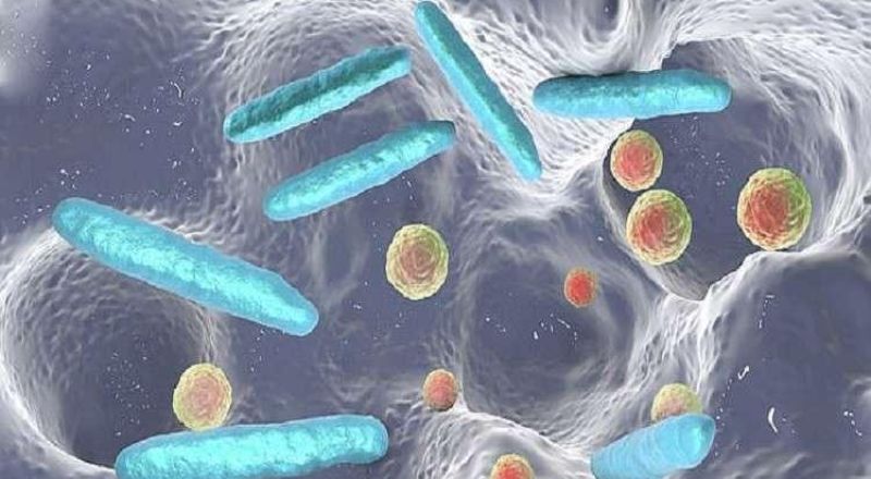 العثور على بكتيريا خارقة نادرة تشكل تهديدا عالميا