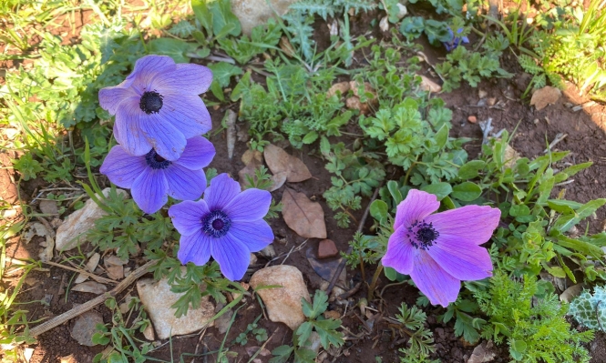 حالة الطقس: أجواء دافئة إلى معتدلة