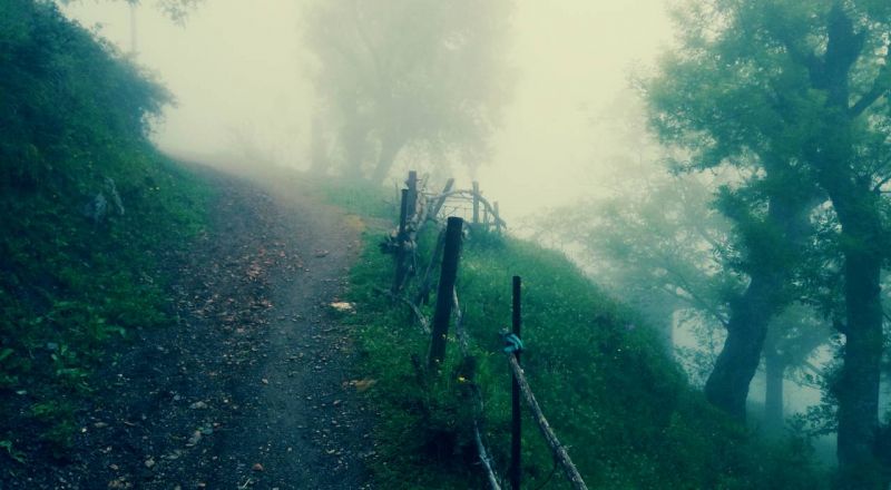 التغير المناخي..دراسة تحذر من ظواهر بيئية خطيرة تنتظر العالم