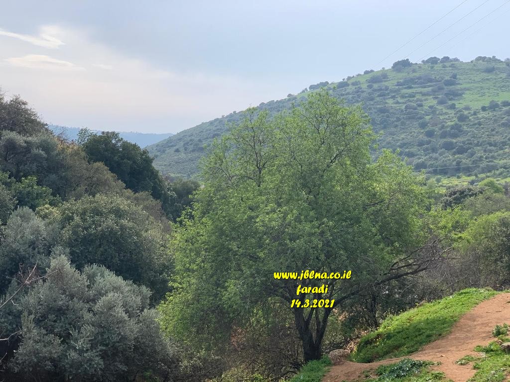 حالة الطقس: أجواء صيفية معتدلة