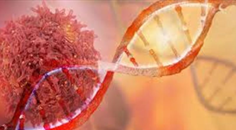 دراسة تكشف تغيّر أعراض السرطان... اليكم التفاصيل