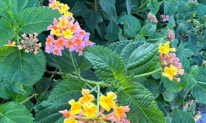 حالة الطقس: أجواء دافئة نهارا وباردة ليلا