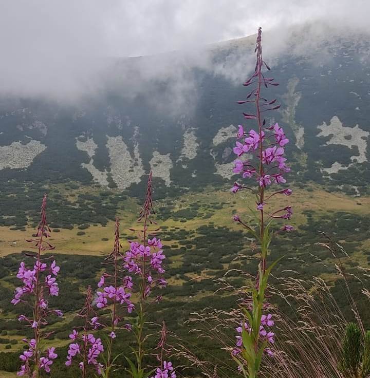   لمّةٌ في رِحاب أرمينيا-  زهير دعيم