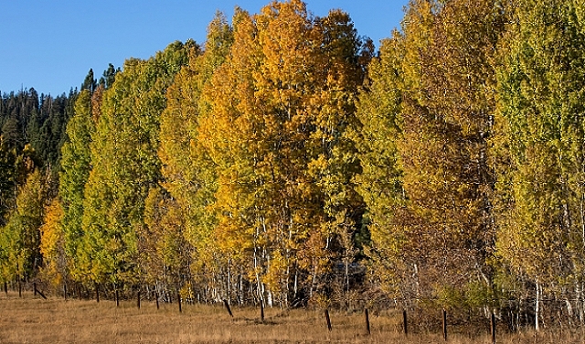 حالة الطقس: أجواء جافة نهارا وباردة ليلا