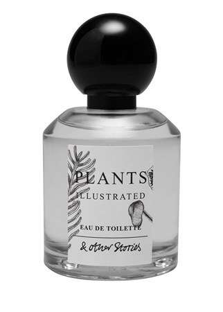 عطران جديدان من آند أذر ستوريز لتجربة عطرية مميزة