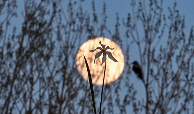 حالة الطقس: أجواء حارة وجافة