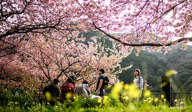 حالة الطقس: أجواء ربيعية معتدلة