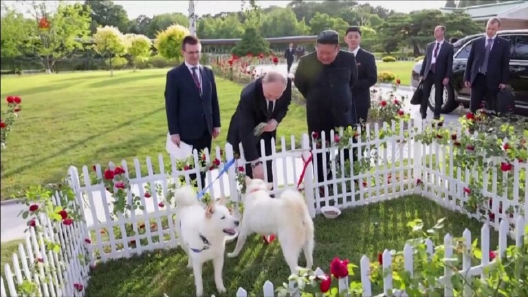 ما هي خصائص الكلبين اللذين أهداهما زعيم كوريا الشمالية لبوتين؟