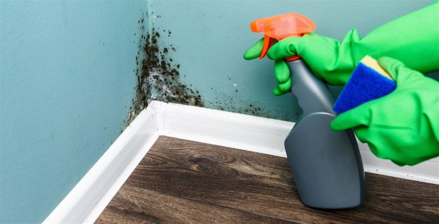 أربع طرق فعالة للتخلص من العفن في المنزل!