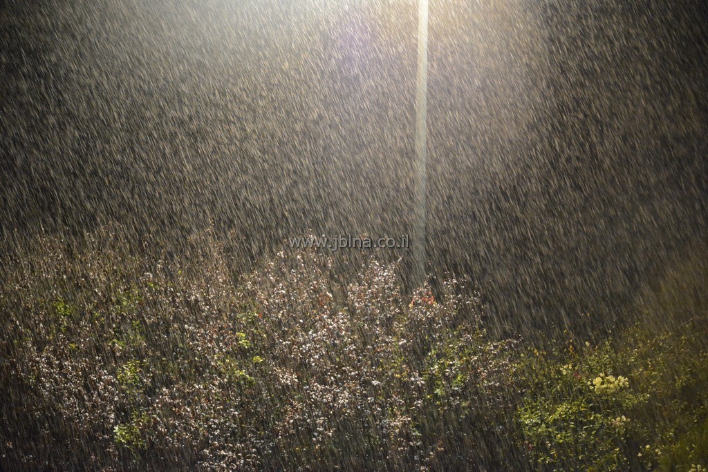 من موجة حر إلى برد قارس: تقلبات حادة في الطقس خلال أيام