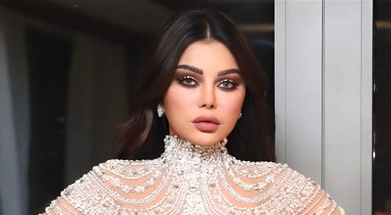 بعد انتشار فيديوهات خادشة نُسبت لها.. هيفا وهبي تُدلي بأقوالها